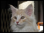 0020 jai de beaux yeux hein
